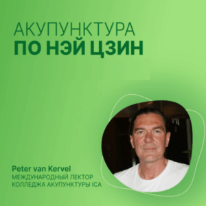 Питер Ван Кервель – Акупунктура по Нэй Цзин